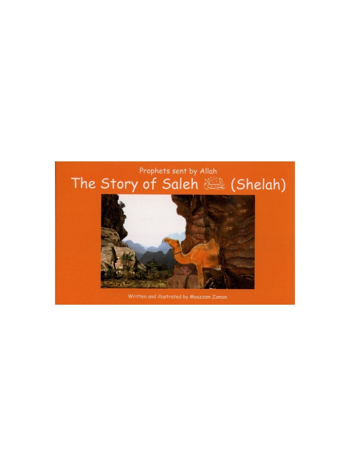 Prophets Sent By Allah The story of Saleh (Shelah)